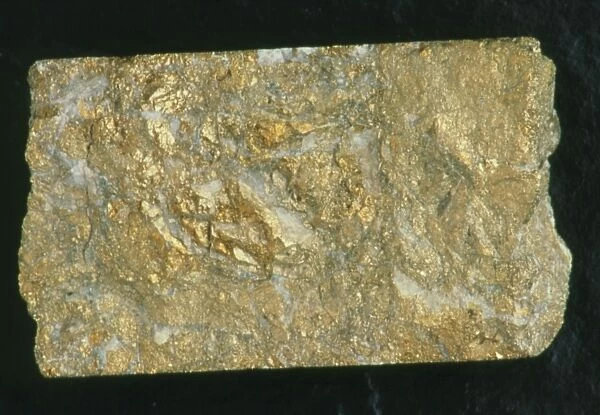Mining drill core sample with gold content