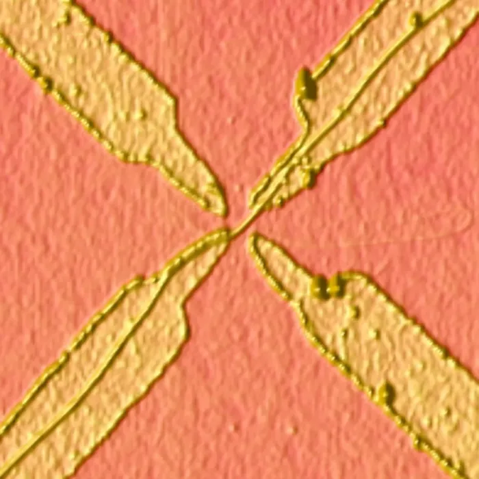 Framed Print : AFM Molecular Transistor Print, Coloured Atomic Force Micrograph Framed Print : AFM Molecular Transistor Print, Coloured Atomic Force Micrograph