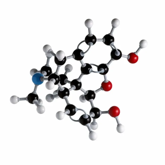 Framed Print : Morphine Molecule Print Framed Print : Morphine Molecule Print