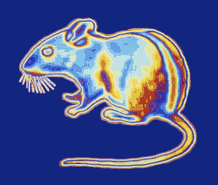 Framed Print : Infrared Mouse Print