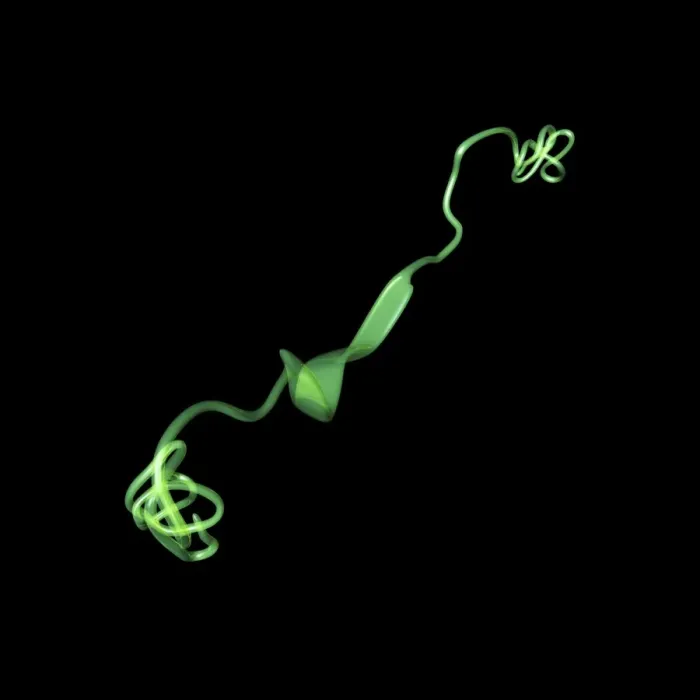 Framed Print : Computer model print of MUC7 protein structure Framed Print : Computer model print of MUC7 protein structure
