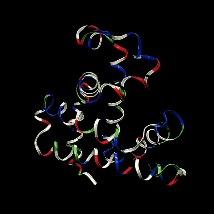 Framed Print : Computer model of myoglobin protein print Framed Print : Computer model of myoglobin protein print