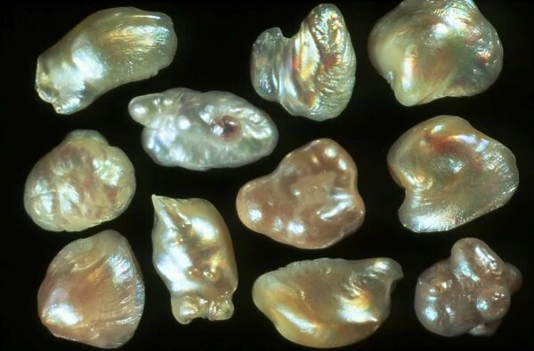Natural freshwater pearls