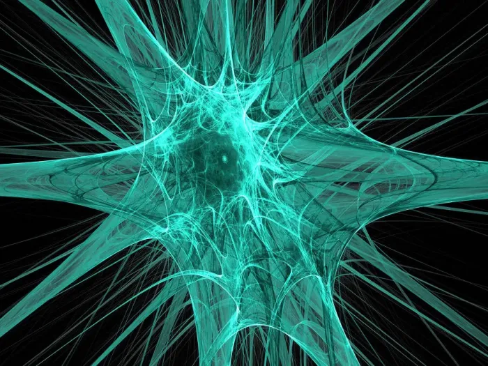 Framed Print : Nerve Cells Print Framed Print : Nerve Cells Print
