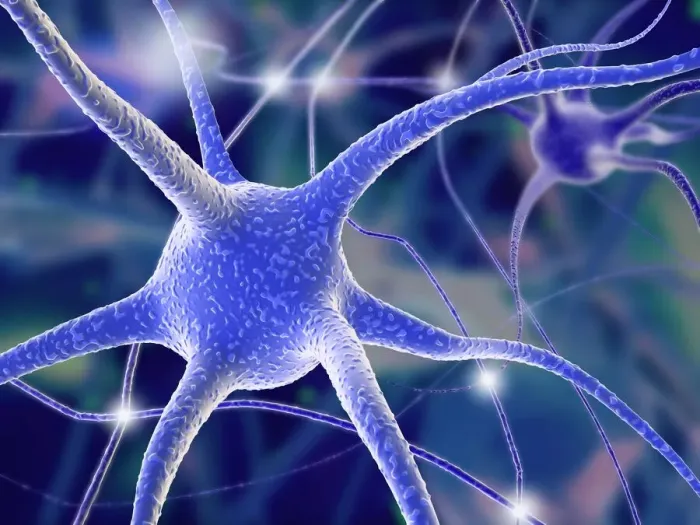 Framed Print : Nerve Cells Print Framed Print : Nerve Cells Print