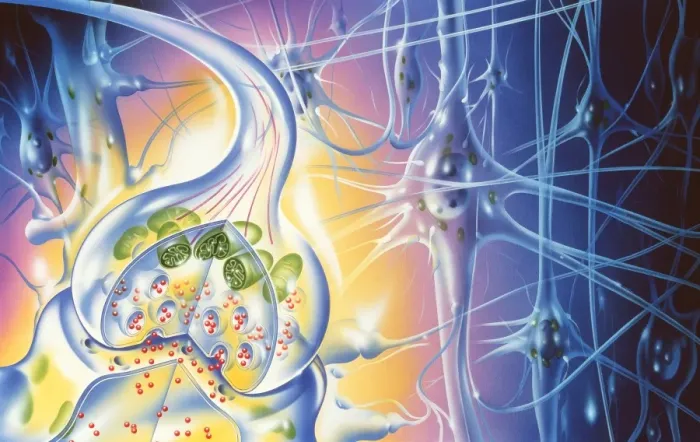 Framed Print : Nerve Synapse Print Framed Print : Nerve Synapse Print