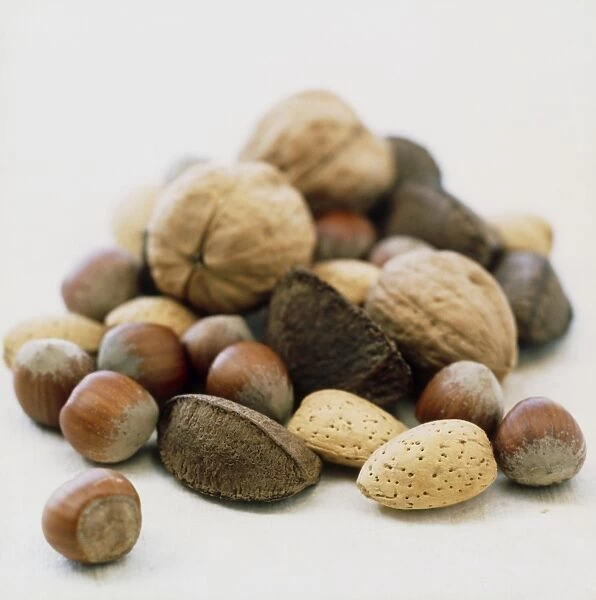 Nuts. Assortment of nuts including walnuts, hazelnuts, brazil nuts and almonds
