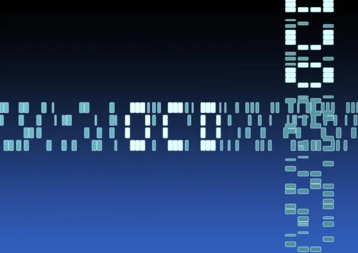 Framed Print : DNA autoradiogram Print of OCD sequence Framed Print : DNA autoradiogram Print of OCD sequence