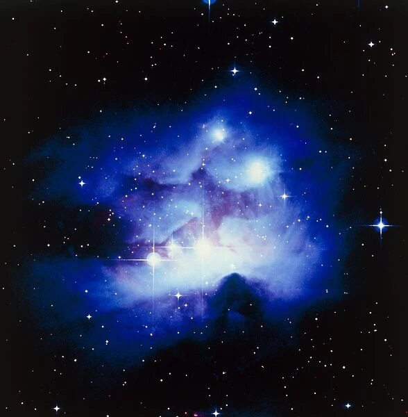 Optical image of the nebula NGC 1977 in Orion