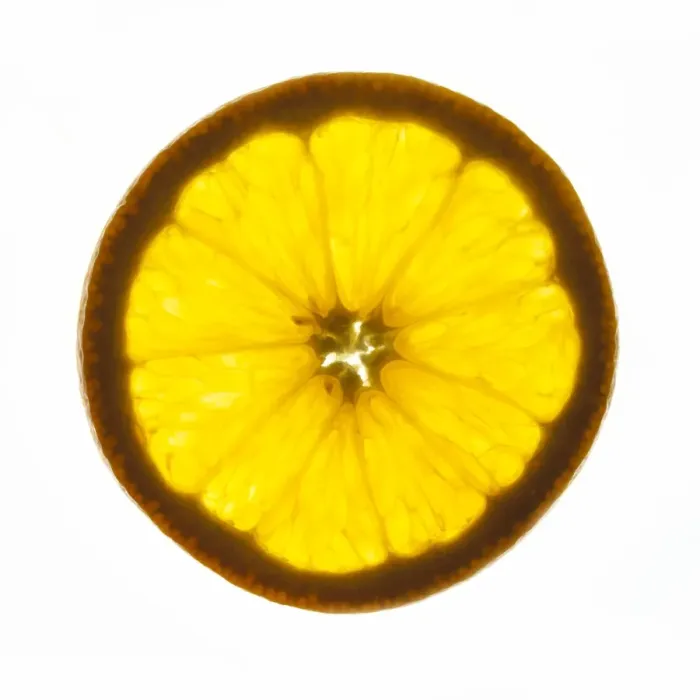 Framed Print : Orange slice Print Framed Print : Orange slice Print