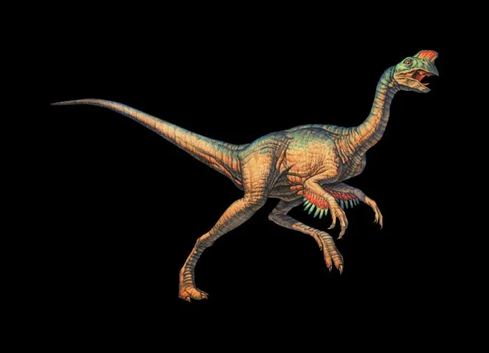 Framed Print : Oviraptor Dinosaur Print Framed Print : Oviraptor Dinosaur Print