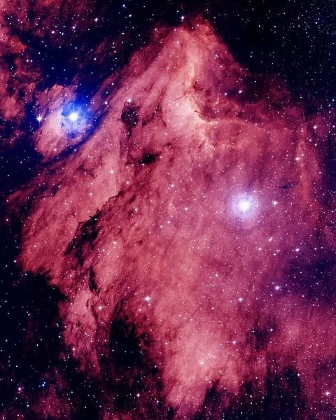 Pelican Nebula. Optical image of the Pelican Nebula (IC 5067-5070)