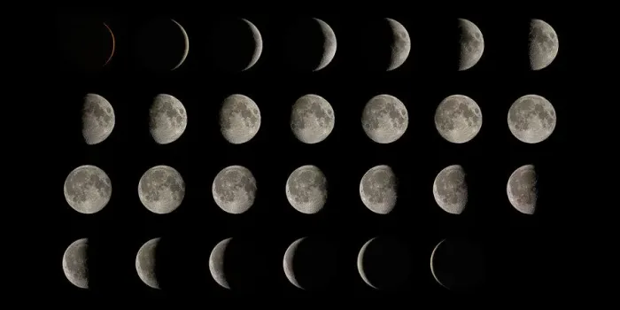 Framed Print : Print of the Moon's 28-day cycle in various phases Framed Print : Print of the Moon's 28-day cycle in various phases