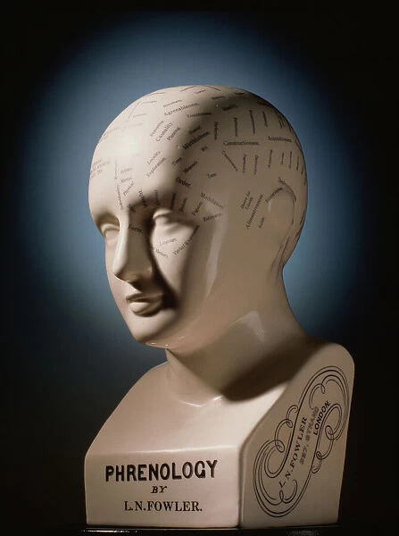 Phrenology bust by L. N. Fowler