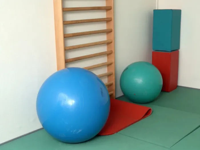 Framed Print : Exercise Ball Print Framed Print : Exercise Ball Print