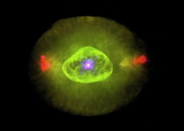 Planetary nebula NGC 6826
