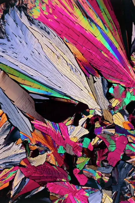 Framed Print : Polarised Light Micrograph Print of Testosterone Crystals Framed Print : Polarised Light Micrograph Print of Testosterone Crystals