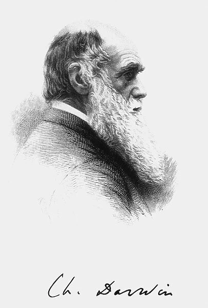 Portrait of English naturalist Charles Darwin