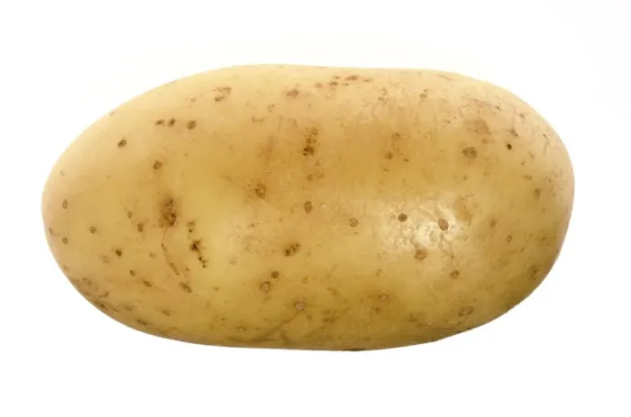 Framed Print : Potato Tuber Print Framed Print : Potato Tuber Print