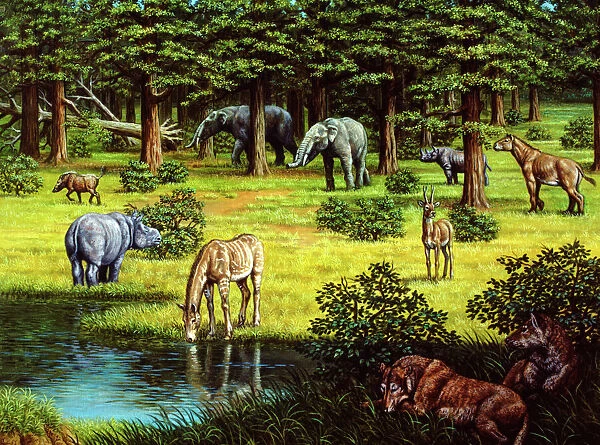 Prehistoric wildlife of the Miocene era