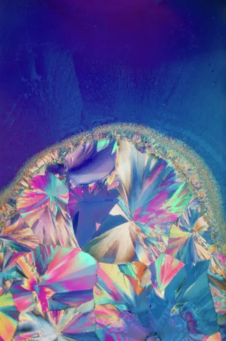 Framed Print : Progesterone Crystals Print, Polarised Light Micrograph Framed Print : Progesterone Crystals Print, Polarised Light Micrograph