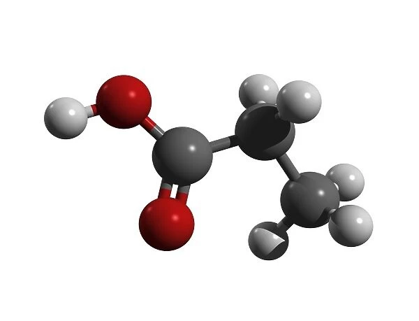 Propanoic acid molecule