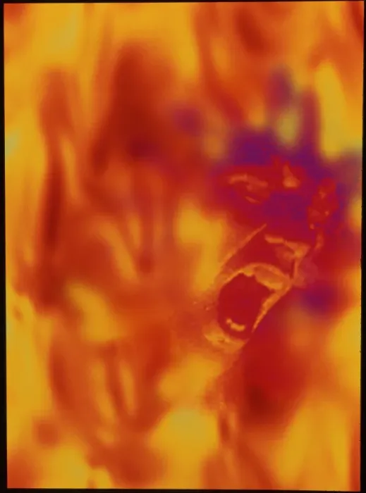 Framed Print : Pyromania Print: Man in Flames Framed Print : Pyromania Print: Man in Flames