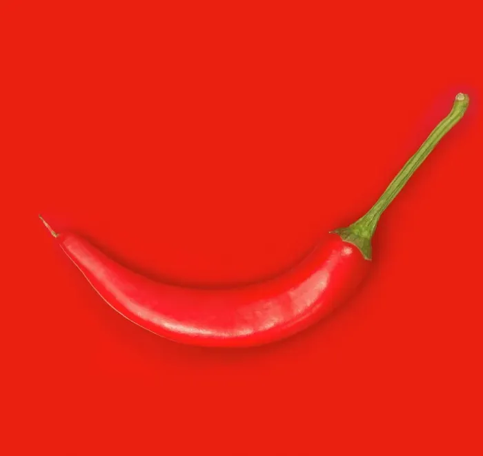 Framed Print : Red Chilli Pepper Print Framed Print : Red Chilli Pepper Print