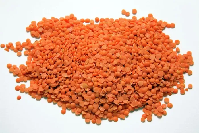 Framed Print : Red Lentil Print Framed Print : Red Lentil Print
