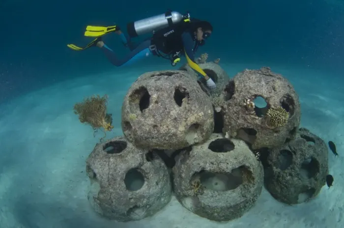 Framed Print : Reef Balls Artificial Reef Print Framed Print : Reef Balls Artificial Reef Print