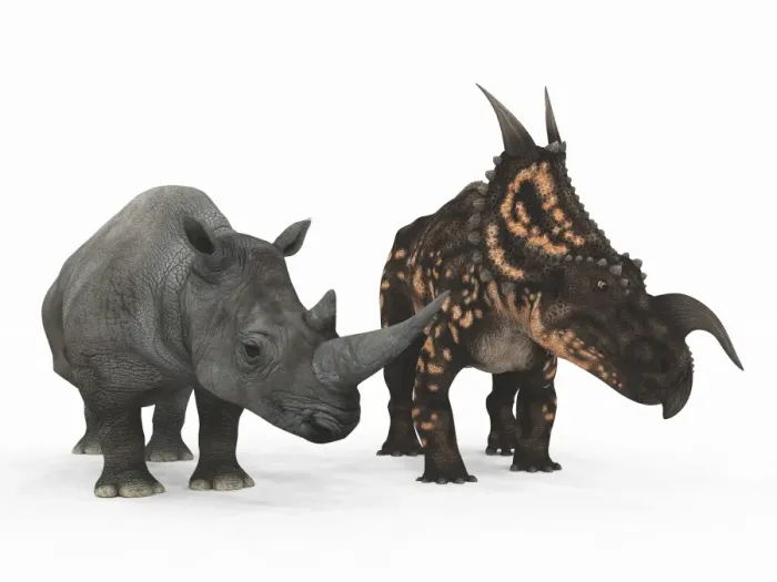 Framed Print : Rhino and Einiosaurus Dinosaur Print Framed Print : Rhino and Einiosaurus Dinosaur Print