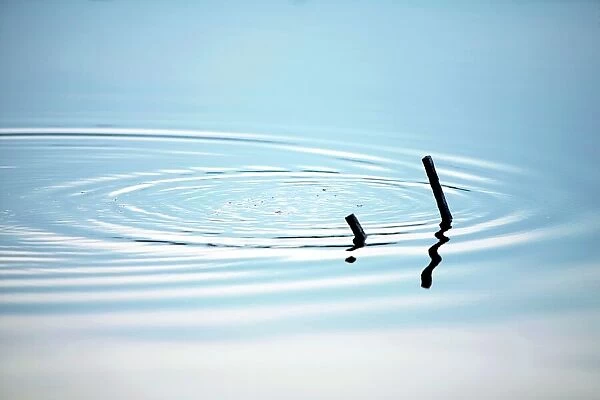 Ripples in a pond