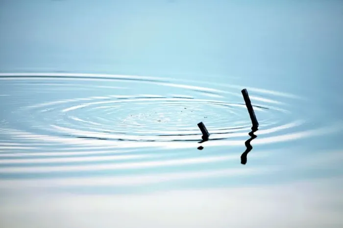 Framed Print : Ripples in a Pond Print Framed Print : Ripples in a Pond Print