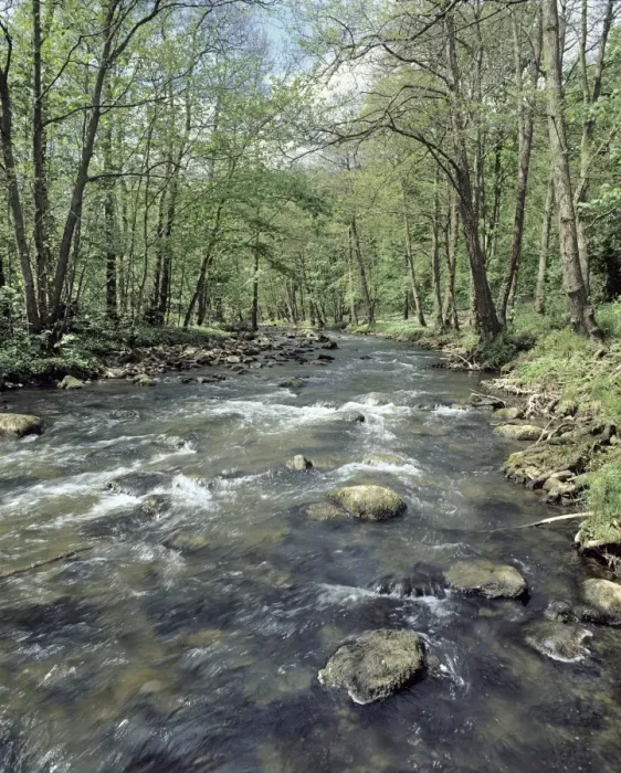 Framed Print : River Esk Print in Spring, North Yorkshire Framed Print : River Esk Print in Spring, North Yorkshire
