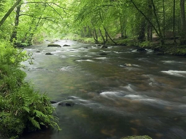 River Teign, Dartmoor, UK