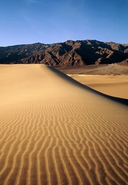 Sand dunes in Death Valley, California