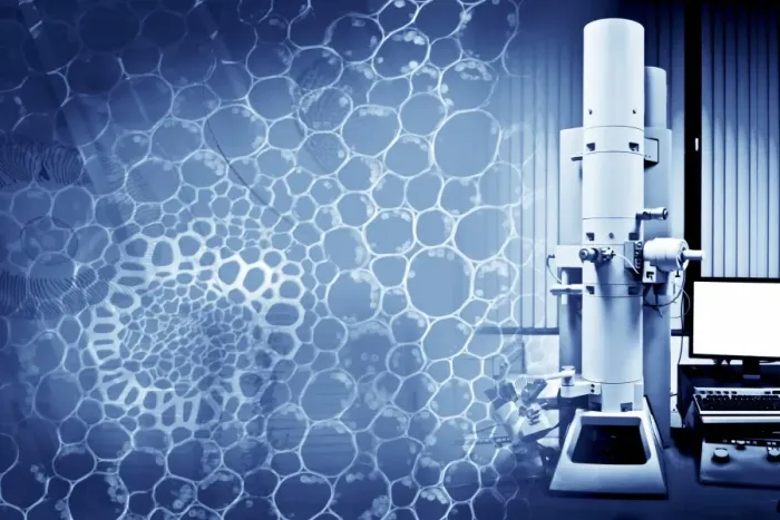 Framed Print : Scanning Electron Microscope Print Framed Print : Scanning Electron Microscope Print