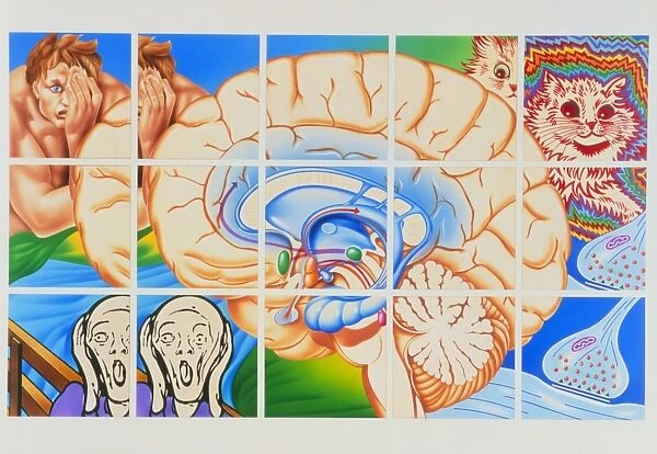 Schizophrenia: artwork of brain and paintings