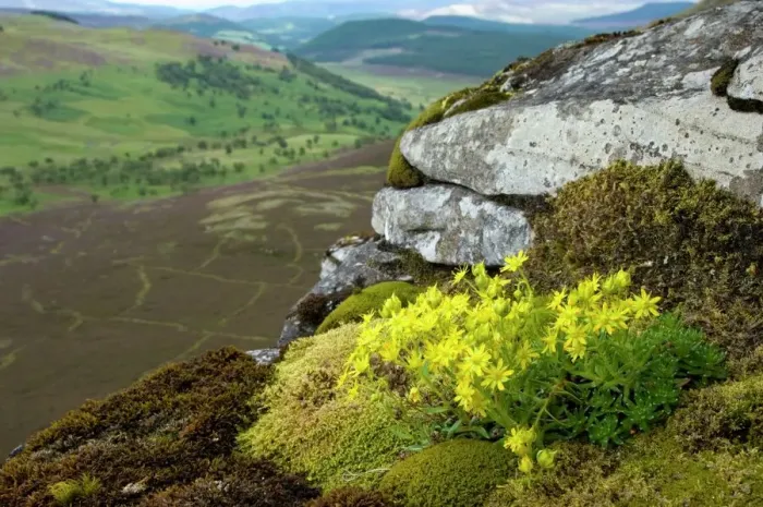 Framed Print : Highland Landscape Print Framed Print : Highland Landscape Print