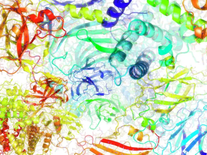 Framed Print : Secondary Structure of Proteins Print Framed Print : Secondary Structure of Proteins Print