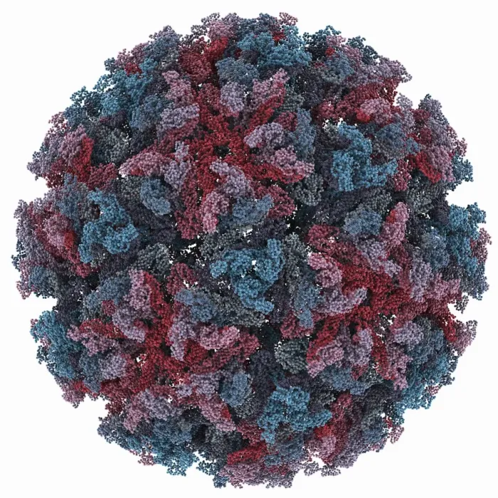Framed Print : Sindbis Virus Capsid Print Framed Print : Sindbis Virus Capsid Print