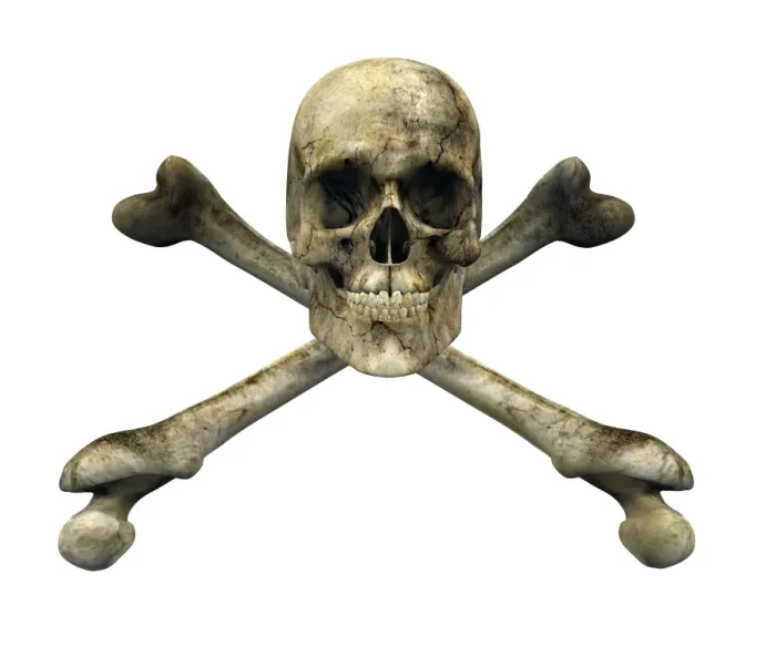 Framed Print : Skull and crossbones Print Framed Print : Skull and crossbones Print