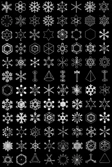 Framed Print : Snow Crystals Print - A Regular Hexagon Framed Print : Snow Crystals Print - A Regular Hexagon