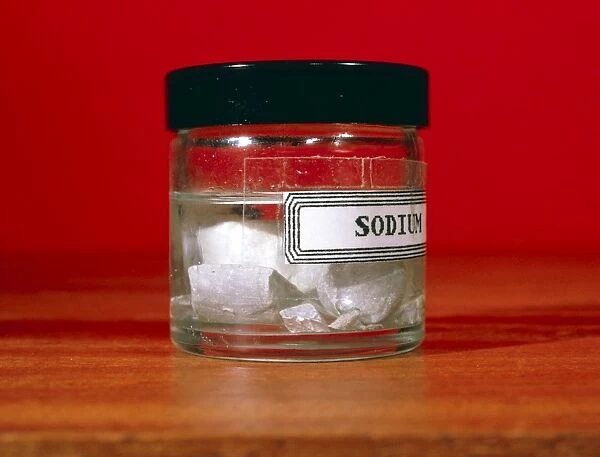 Sodium. Pieces of the reactive metallic element sodium (Na) stored under oil in a jar