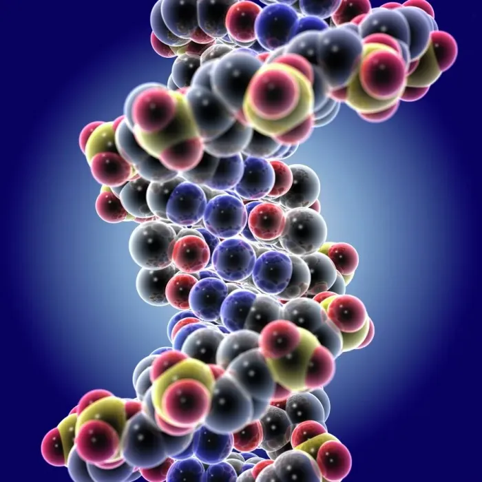 Framed Print : 3D DNA Molecule Print Framed Print : 3D DNA Molecule Print