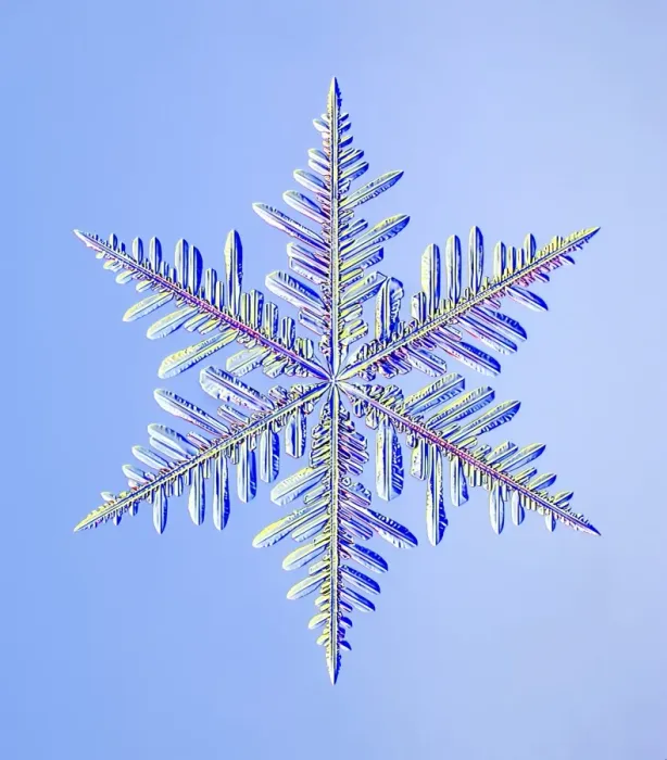 Framed Print : Dendritic Snowflake Print Framed Print : Dendritic Snowflake Print