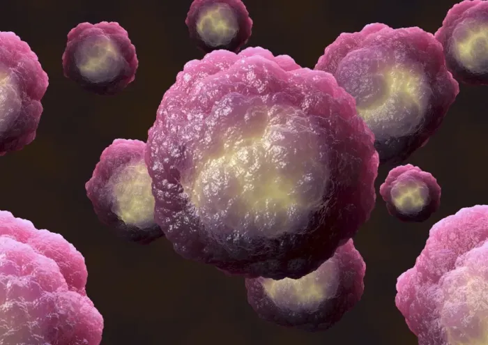 Framed Print : Stem Cells Print Framed Print : Stem Cells Print