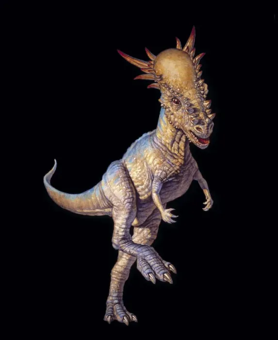 Framed Print : Stygimoloch Dinosaur Print Framed Print : Stygimoloch Dinosaur Print