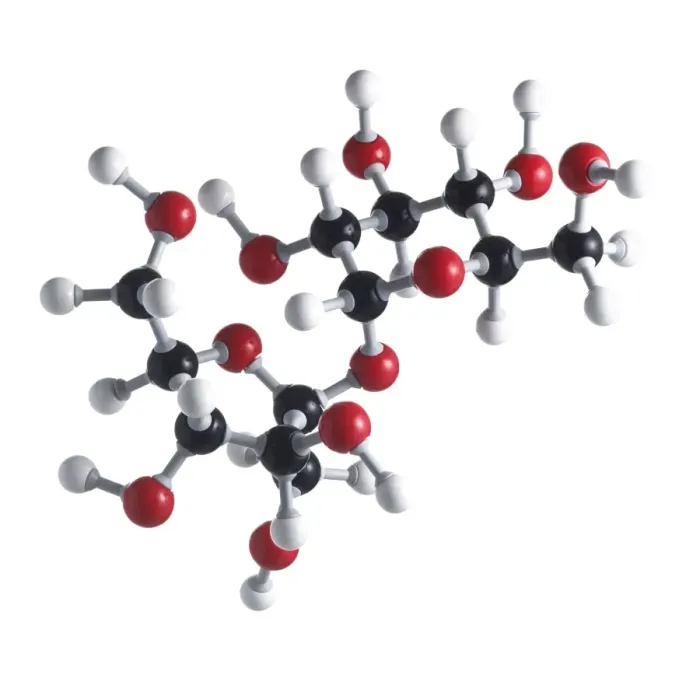 Framed Print : Sucrose Molecule Print Framed Print : Sucrose Molecule Print