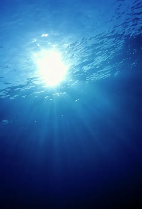 Framed Print : Sunlight underwater Print Framed Print : Sunlight underwater Print
